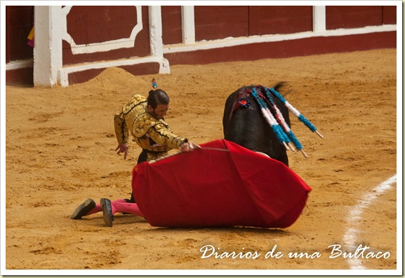 Toros_León-16