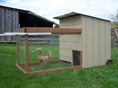 B.P.B. Large Chicken Tractor