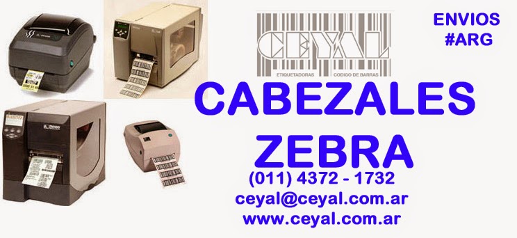 CABEZALES ZEBRA ARGENTINA BS AS