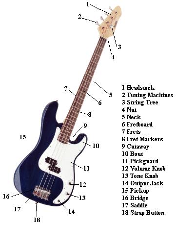 bass guitar notes chart. ass guitar notes chart