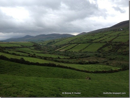 Ireland2013 709