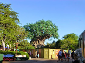 Arbre de Vie Animal Kingdom Orlando