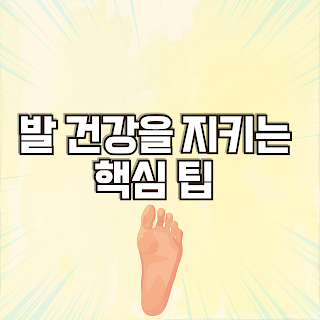 아치형발바닥
