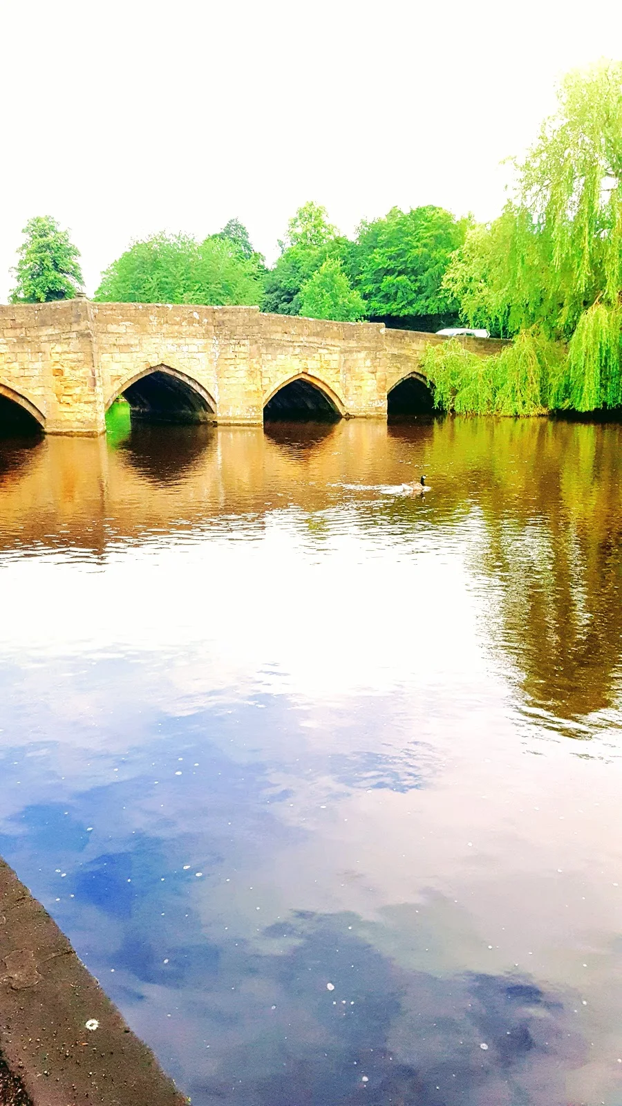 Bridge on water