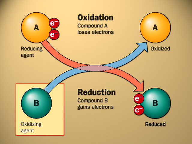 Oxidation involves loss of electrons and increase in oxidation number.