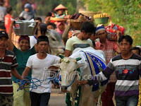 Tradisi Unik Masyarakat Indonesia Menjelang Idul Adha