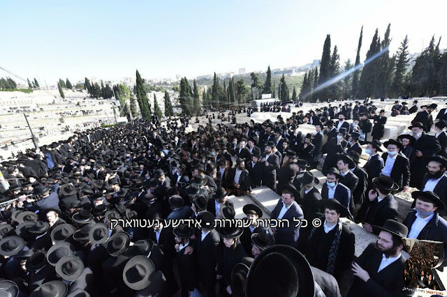 מסע הלוי' של הגר"ד סאלאווייטשיק זצ"ל ראש ישיבת בריסק