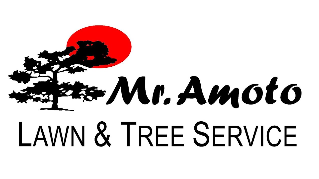 Mr Tree Service