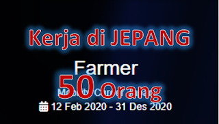 Peluang kerja di Jepang untuk 50 orang di sektor pertanian