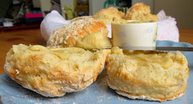 Yogurt Biscuits & Honey Cardamom Butter