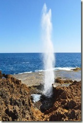 blowhole hight