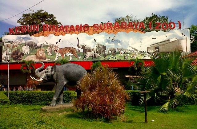 Highlights of Surabaya Zoo