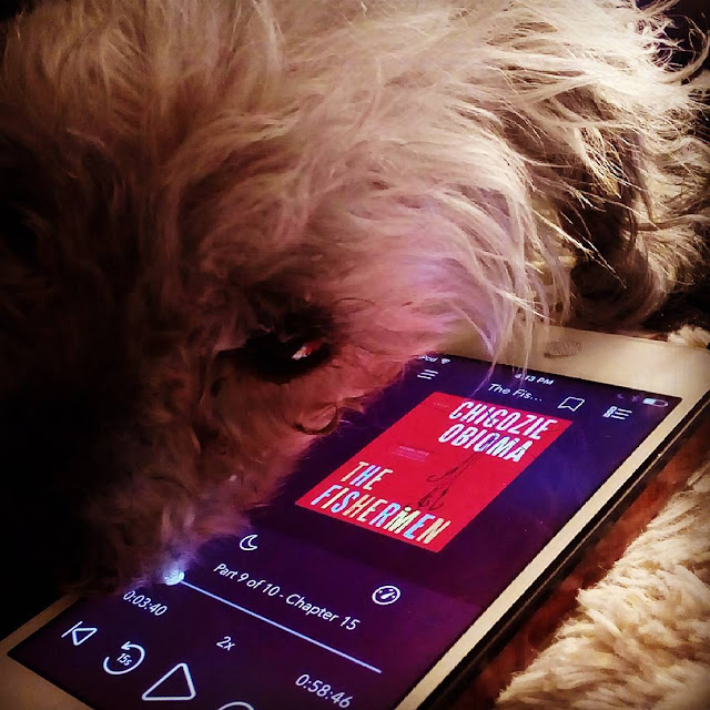 Murchie rests his fuzzy cheek against a white iPod with the red cover of The Fishermen on its screen.