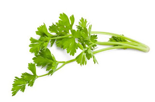 Health Benefits of Celery, Celery Benefits, Humans Healthy Food, Healthy Vegetables, Healthy Leaves