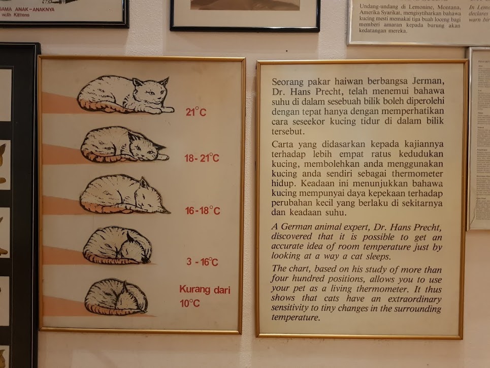  DBKU Cat Museum in Kuching