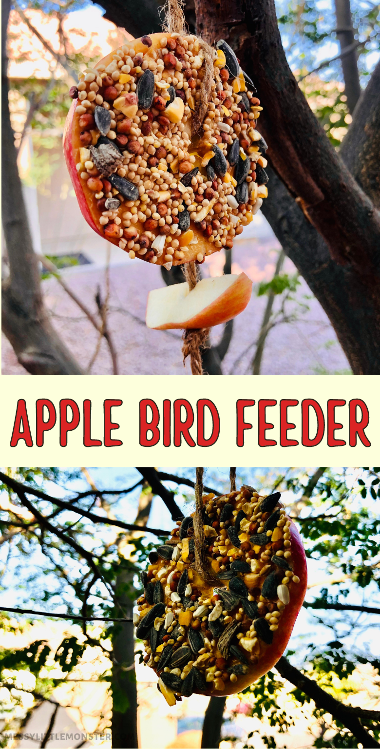 Apple bird feeder. Easy homemade bird feeder for kids to make.