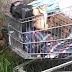 VÍDEO: Corpo é encontrado em carrinho de supermercado em Manaus