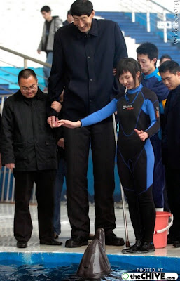 Herdsman, Bao Xishun is the tallest man