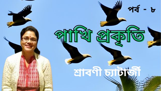 pakhi-prakriti-part-8-kamaladama-orange-headed-thrush-jana-ajana-feature-by-shrabani-chatterjee-tatkhanik-digital-bengali-web-bangla-e-magazine-পাখি-প্রকৃতি-শ্রাবণী-চ্যাটার্জী