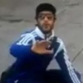 farid de la morlette