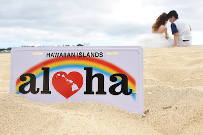 Hawaii License Plate