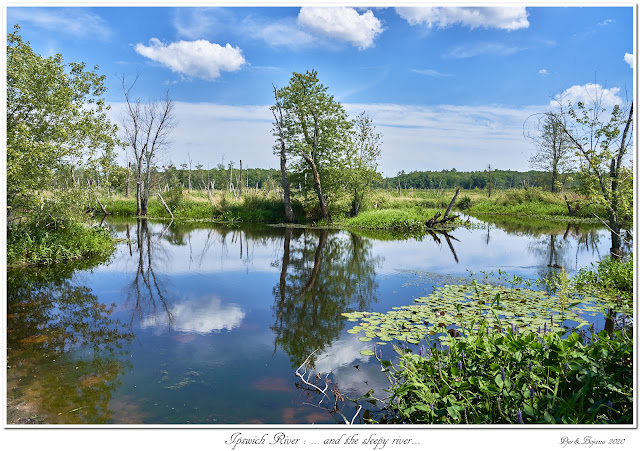 Ipswich River: ... and the sleepy river...