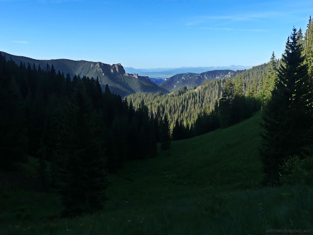 049: steep grass covered hills with trees around