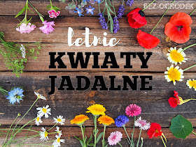 jakie jadalne kwiaty kwitną latem