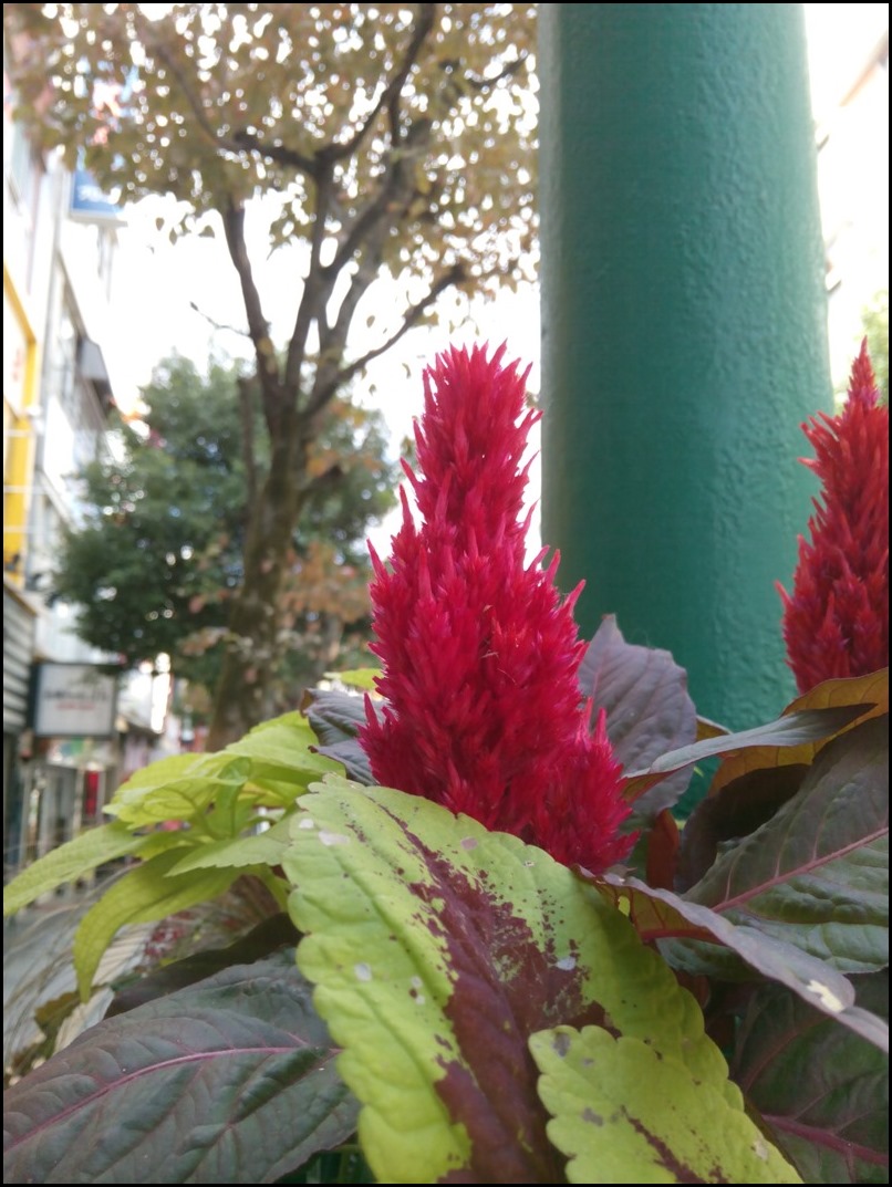IMG_20161016_105151