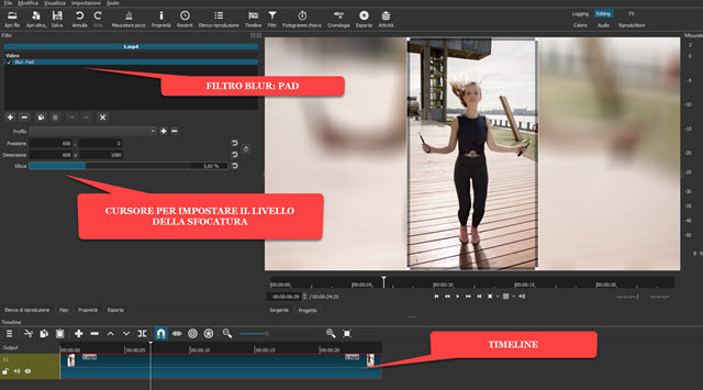 applicazione del filtro blur pad per la sfocatura