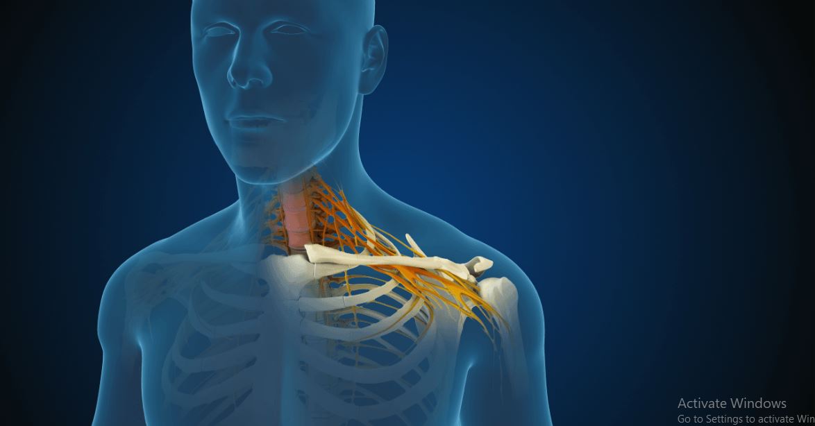 Diagnosis and Treatment of Cervical Radiculopathy