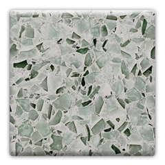 holllywood sage chip