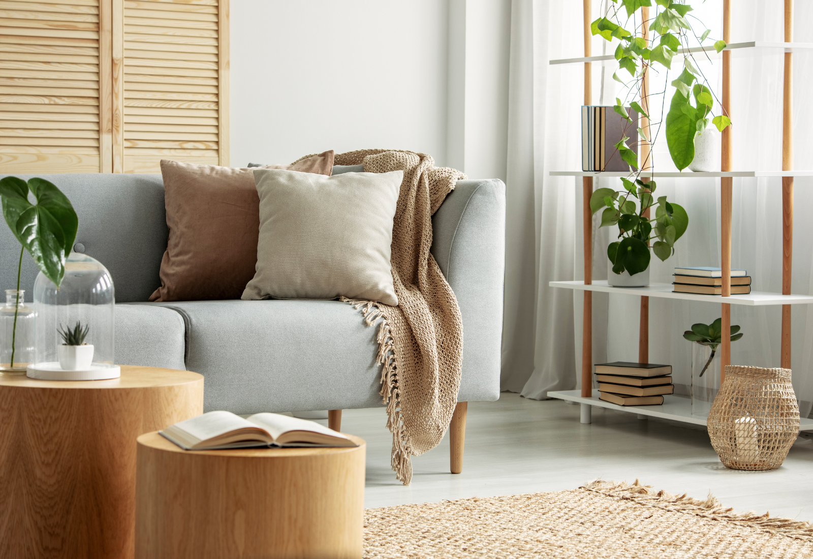 Estante com Plantas