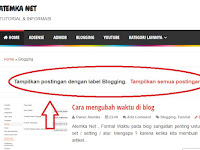 Cara Menghilangkan Tampilkan Posting dengan Label di Blog