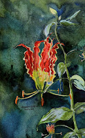 Thok Poo (Gloriosa superb or flame lily is a flowering plant , rows in several habitats like jungles)