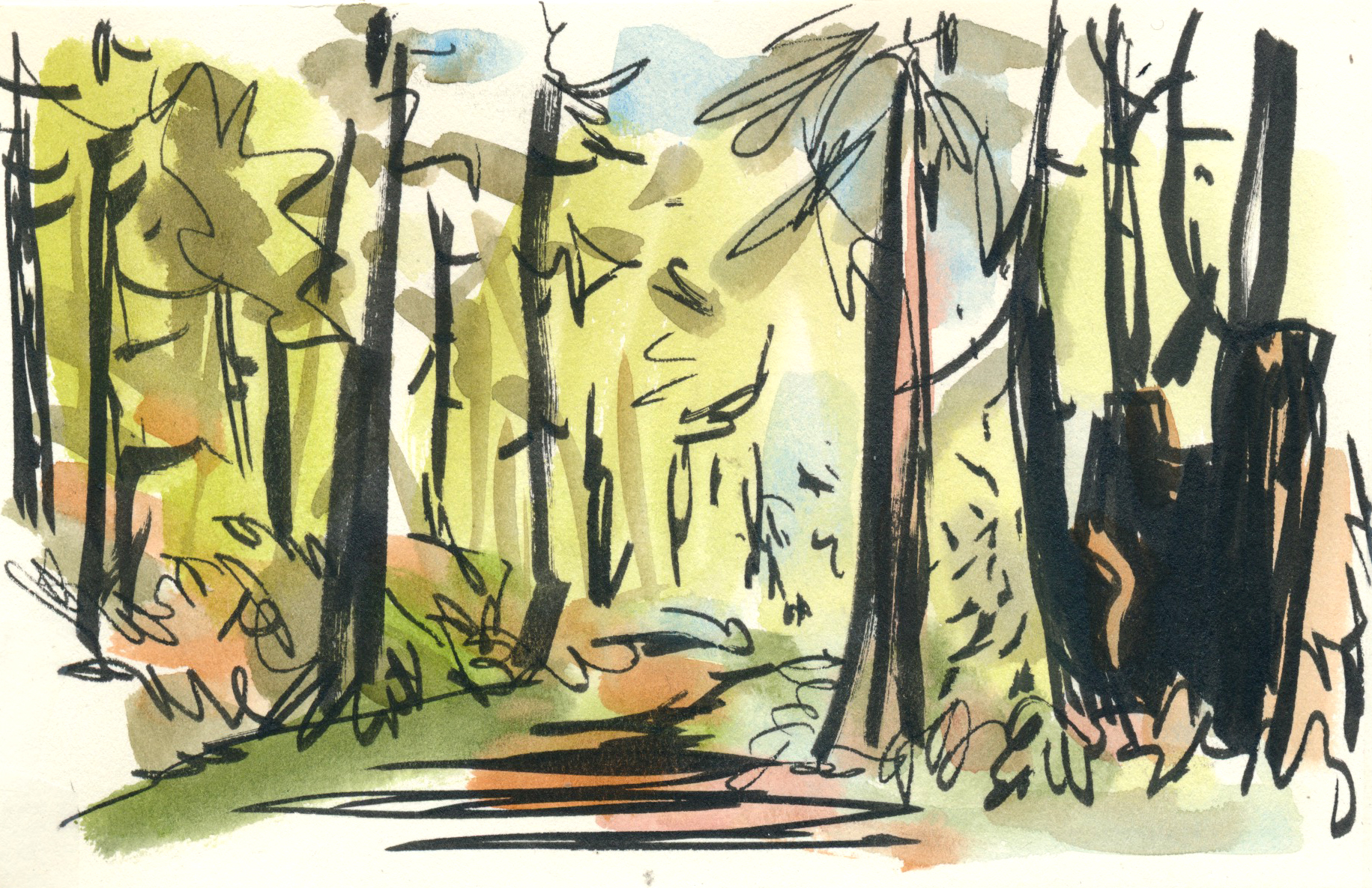 Apple-Pine: A Story of a my Big Sketchbook Painting Disaster