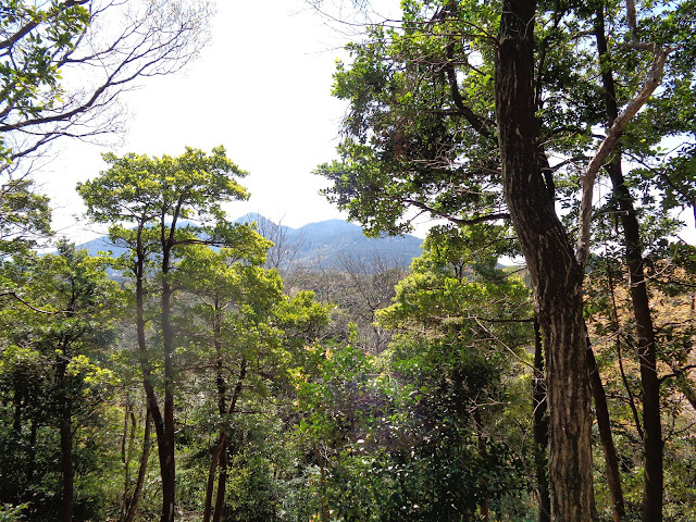 孝霊山