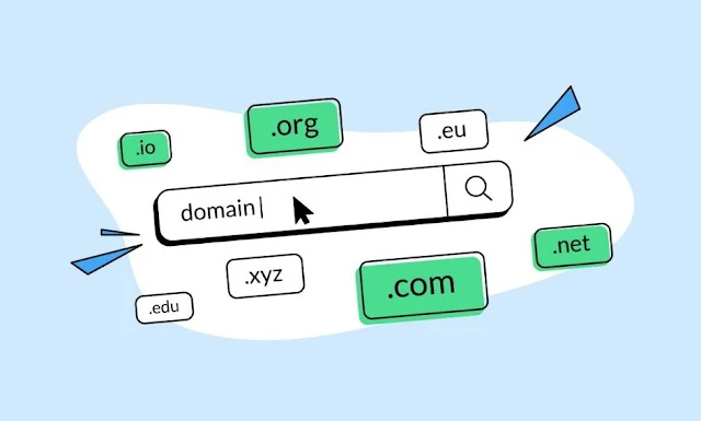 Apa Fungsi Domain