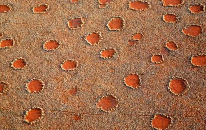 Fairy Circles In Namibia