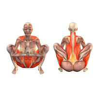 http://easy-healthcare.blogspot.com/2016/01/garland-pose-malasana.html