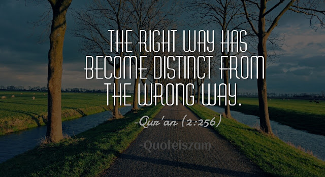 The right way has become distinct from the wrong way. -Qur'an (2:256)