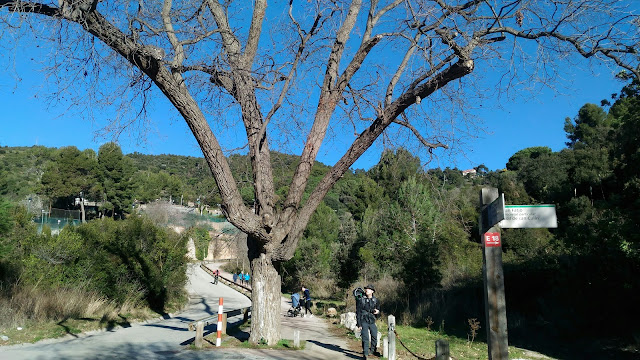 Passeig de la Muntanya