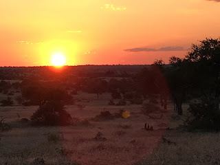 Botswana, ratsastussafari, riitta reissaa, horsexplore