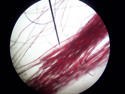 Techniques of Identification of Hair/Fiber: Lab