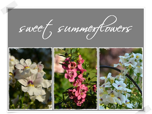 Sweet Summerflowers