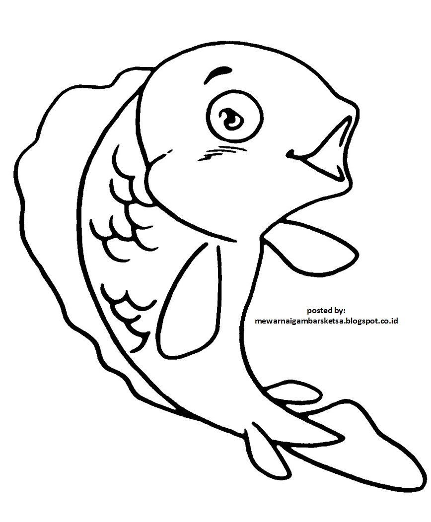 Mewarnai Gambar  Mewarnai Gambar  Sketsa  Hewan Ikan  1