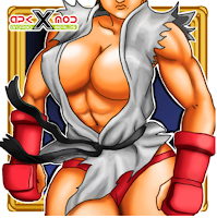 SHE´S FIGHTER X Woman Warriors v1.04 Apk