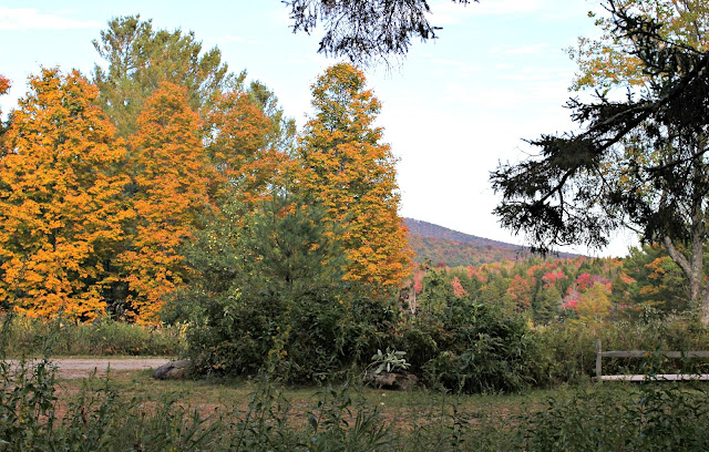 fall leaf peeping drive in the Adirondack Mountains of Upstate NY - www.goldenboysandme.com