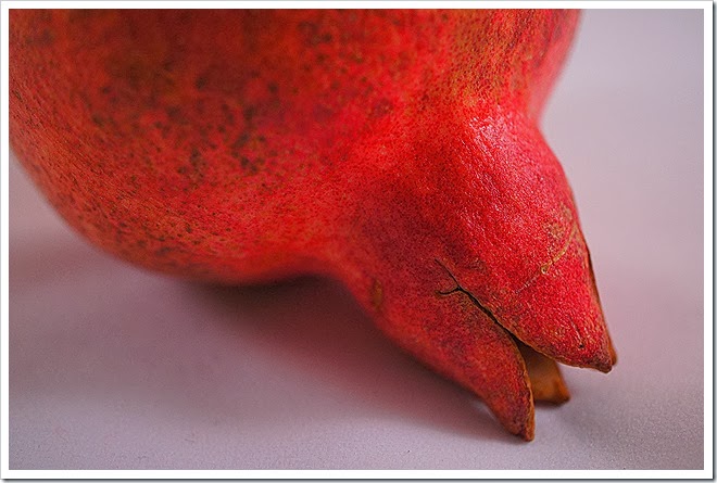 pomegranate-royalty-free-pictures-1 (1676) pomegranate-royalty-free-pictures-1 (1676)