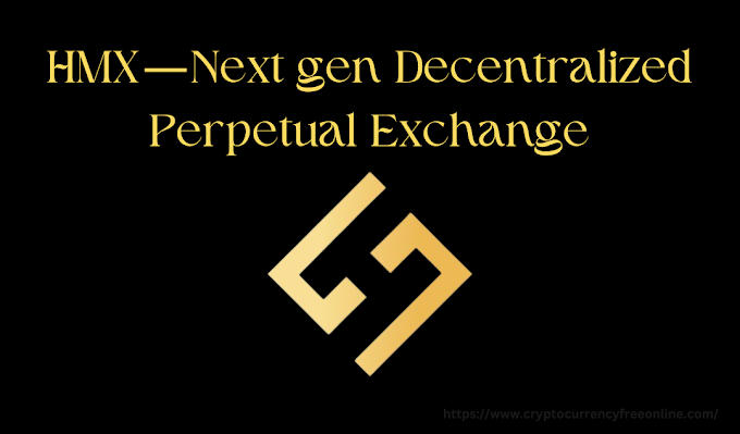 Future Decentralized Perpetual Exchange: HMX